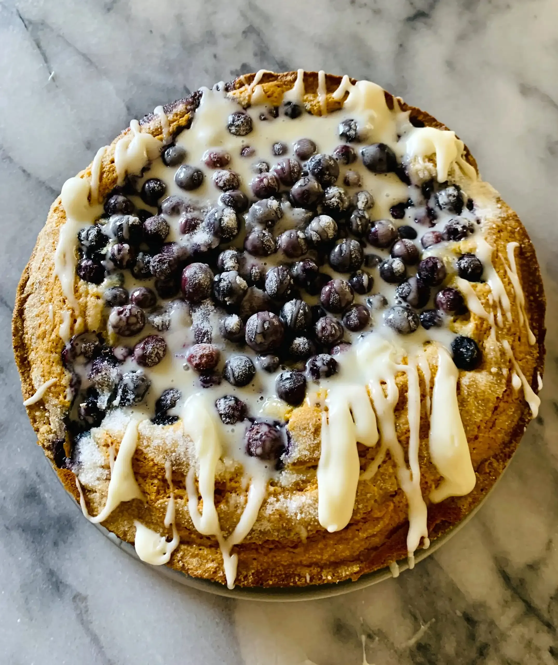 Perfect Blueberry Sour Cream Coffee Cake Springform Pan