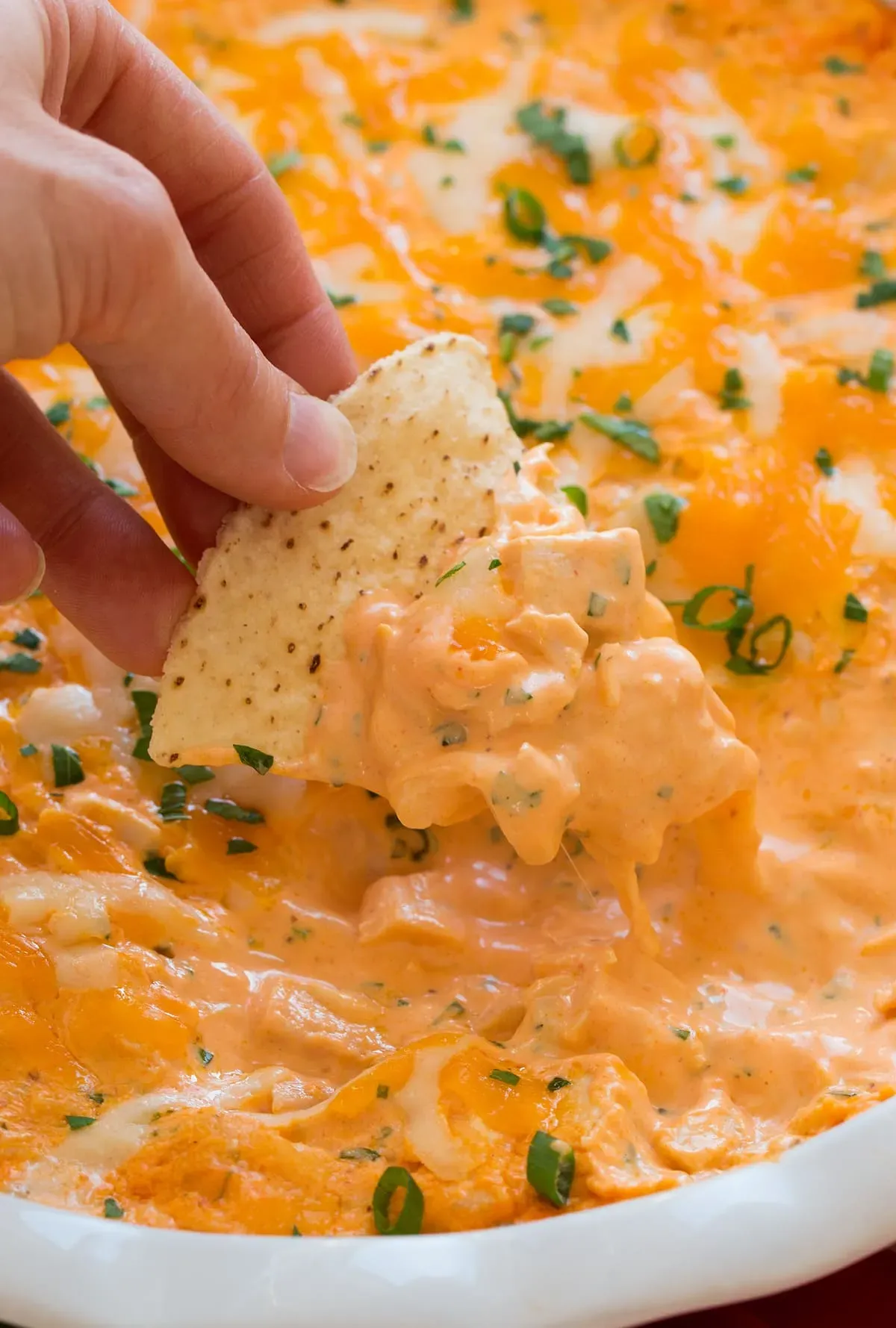 Getting Started: What You Need to Make Buffalo Chicken Dip with Sour Cream