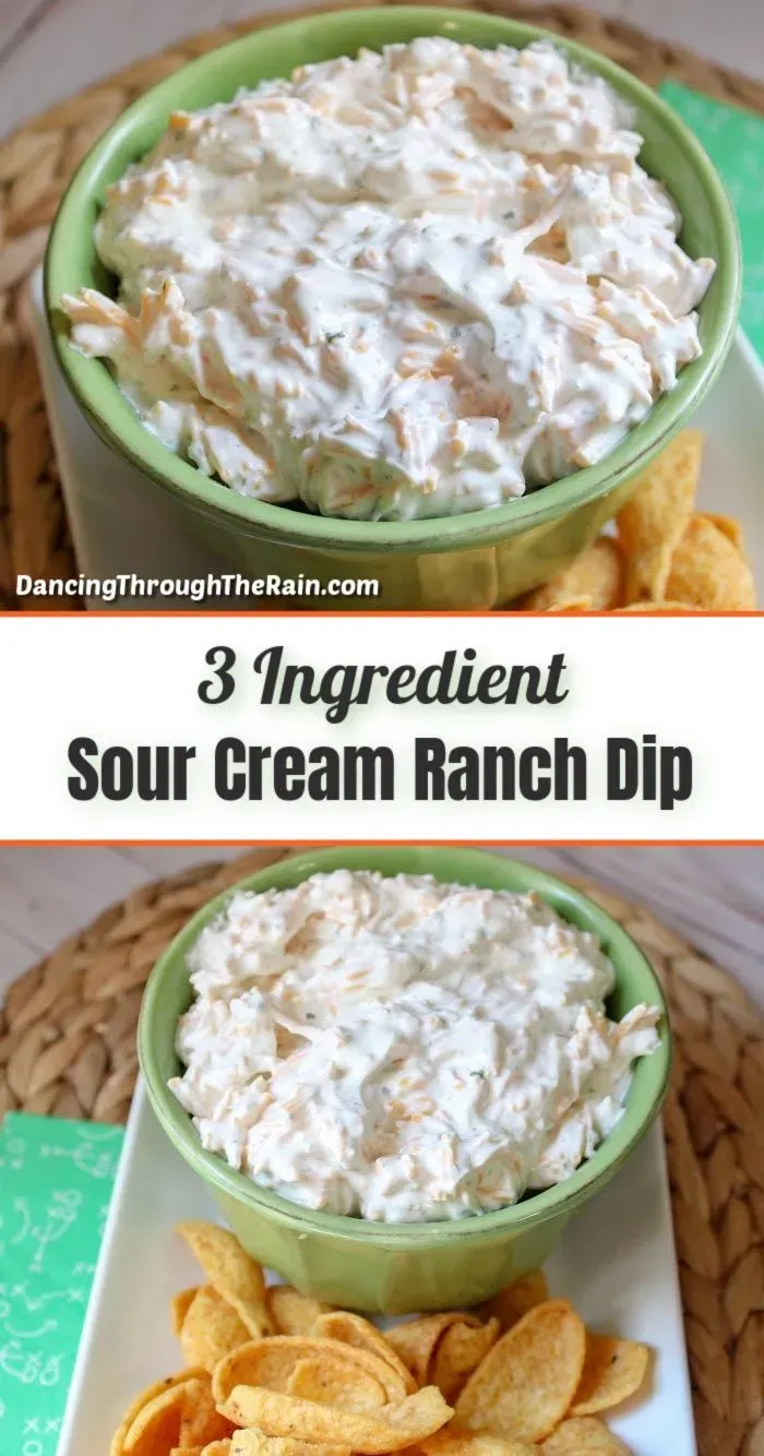 My Aunt's Famous 3 Ingredient Sour Cream Dip