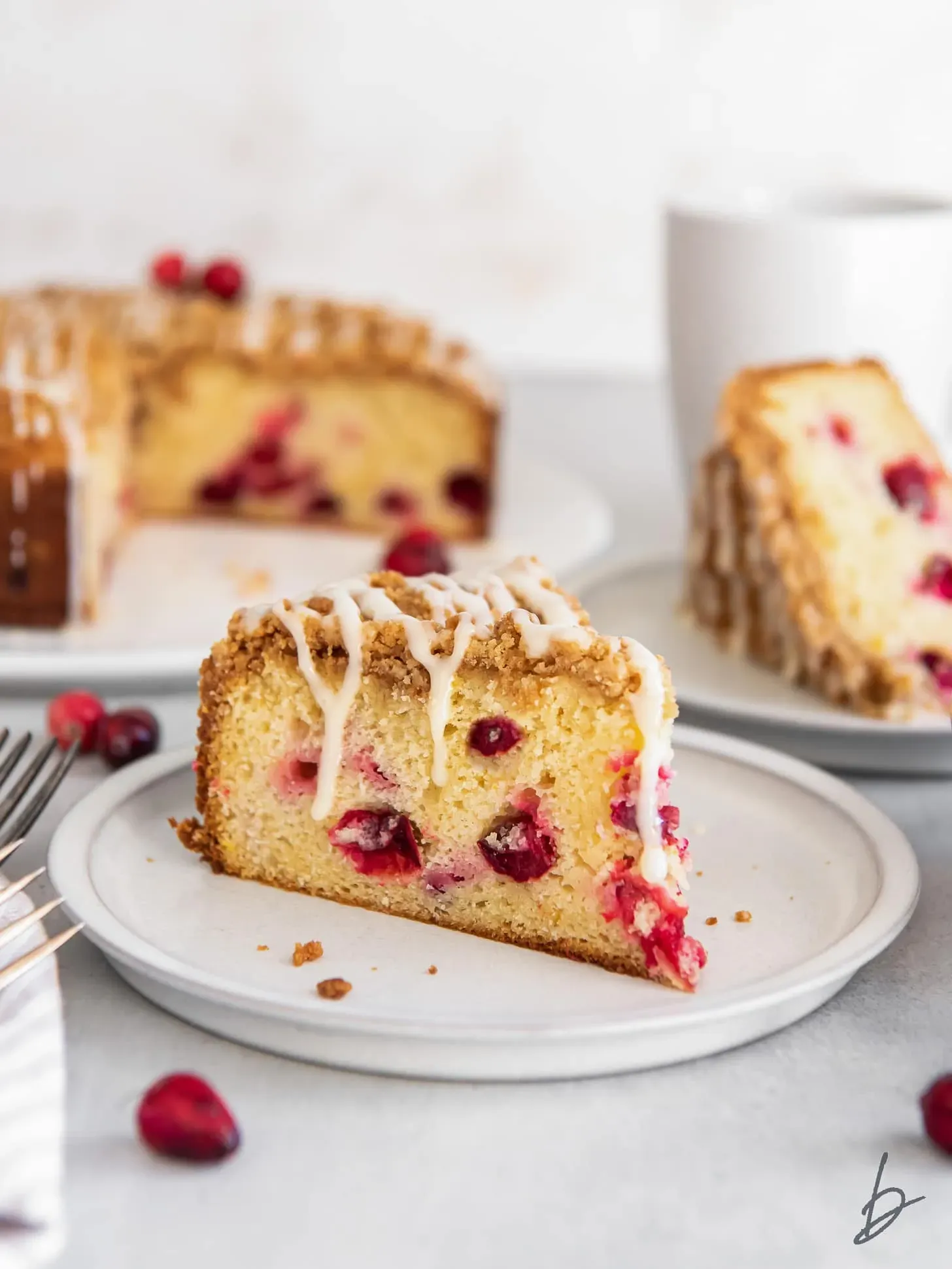 The Enduring Charm of Apple Cranberry Sour Cream Coffee Cake