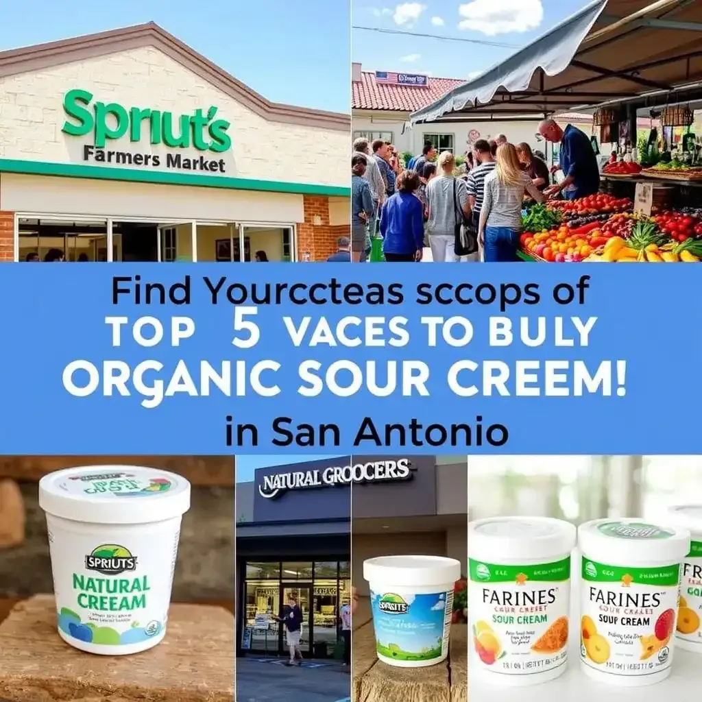 Top 5 Places To Buy Organic Sour Cream San Antonio